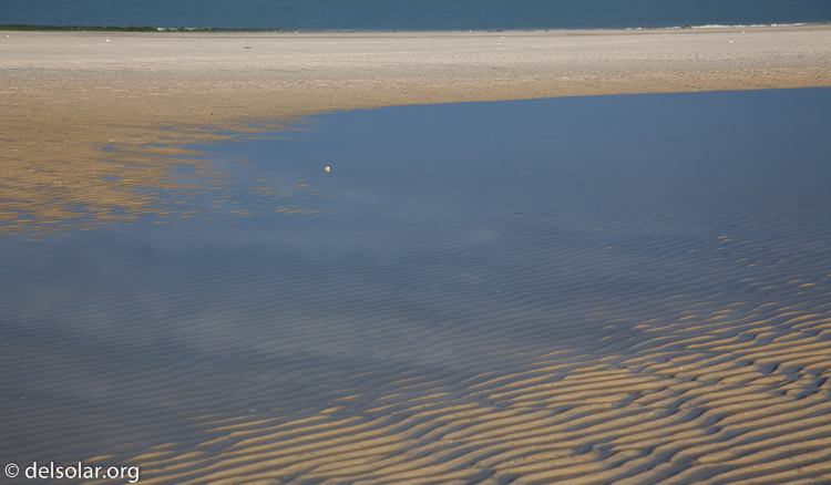 Canon EOS 5D Mark II  --  105 mm  --  EF24-105mm f/4L IS USM  