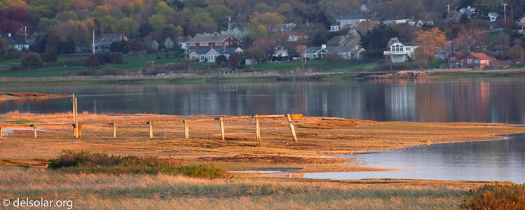 Canon EOS 5D Mark II  --  400 mm  --  EF400mm f/5.6L USM  