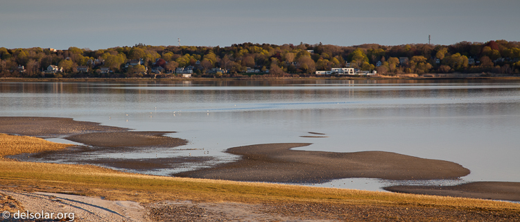 Canon EOS 5D Mark II  --  105 mm  --  EF24-105mm f/4L IS USM  