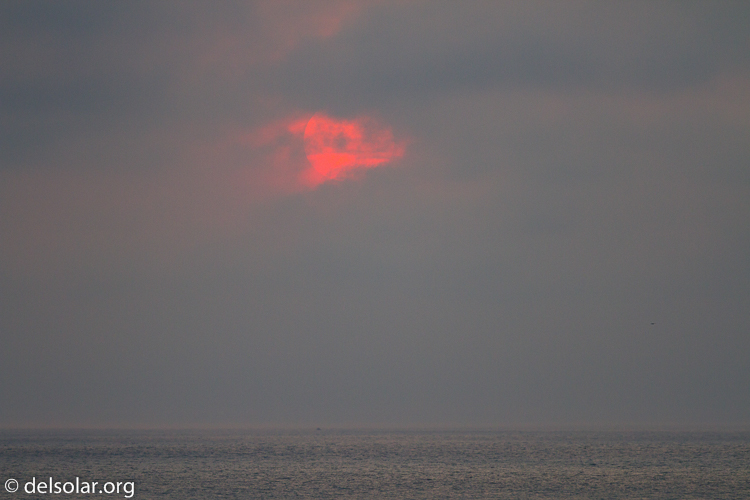 Canon EOS 7D  --  300 mm  --  EF300mm f/2.8L IS USM  