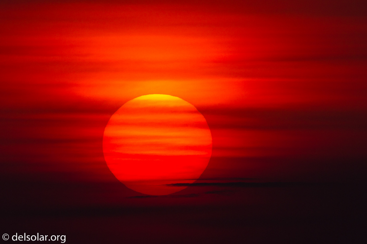 Canon EOS 7D  --  500 mm  --  EF500mm f/4L IS USM  