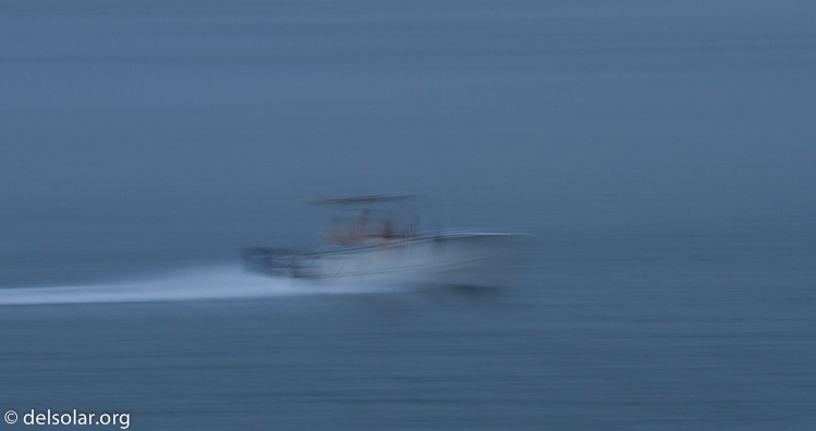 Canon EOS 7D  --  200 mm  --  EF70-200mm f/4L USM  