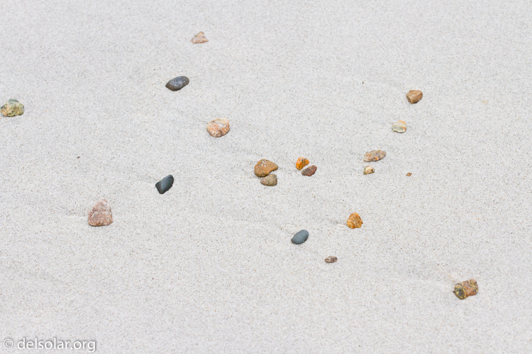 Canon EOS 7D  --  100 mm  --  EF100mm f/2.8 Macro USM  