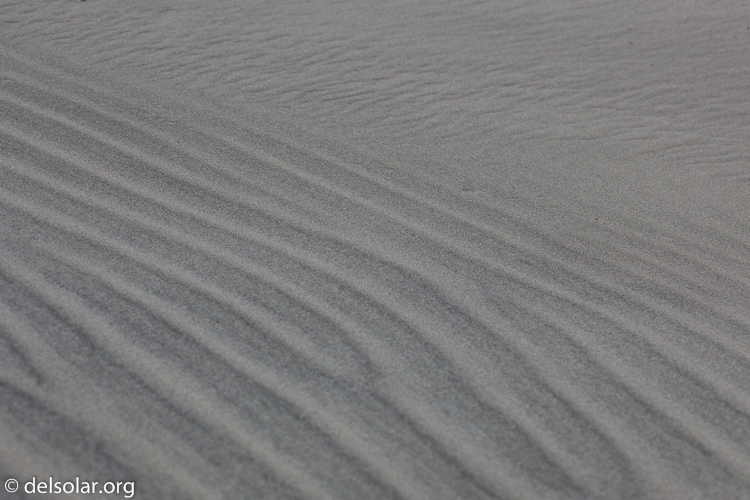 Canon EOS 5D Mark II  --  100 mm  --  EF100mm f/2.8 Macro USM  