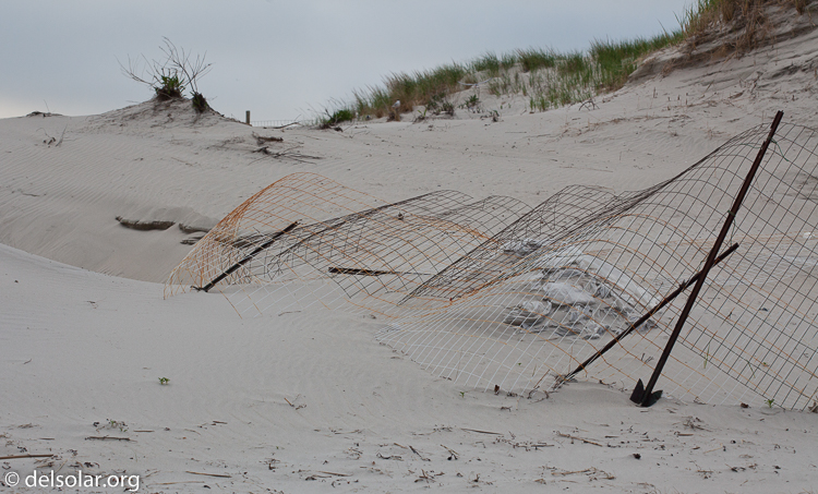 Canon EOS 5D Mark II  --  100 mm  --  EF100mm f/2.8 Macro USM  