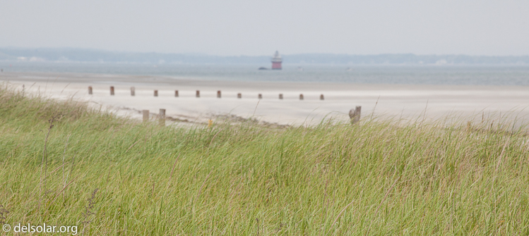 Canon EOS 5D Mark II  --  172 mm  --  EF70-200mm f/4L USM  