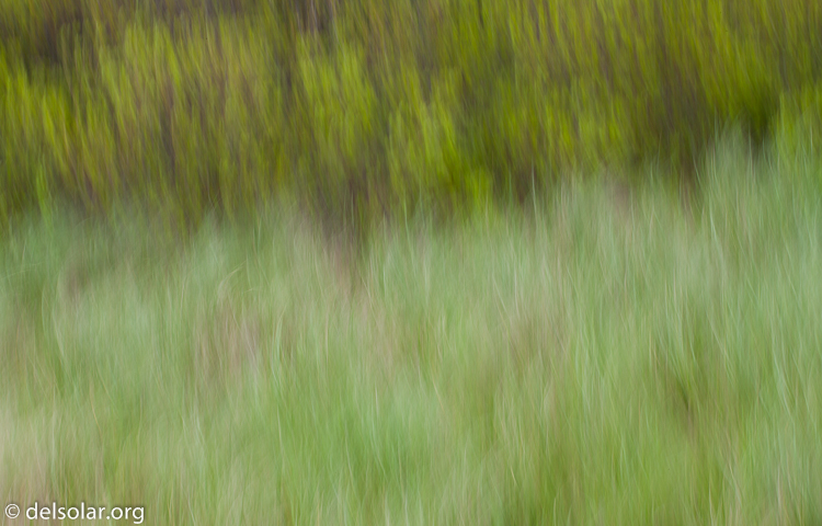 Canon EOS 5D Mark II  --  104 mm  --  EF70-200mm f/4L USM  