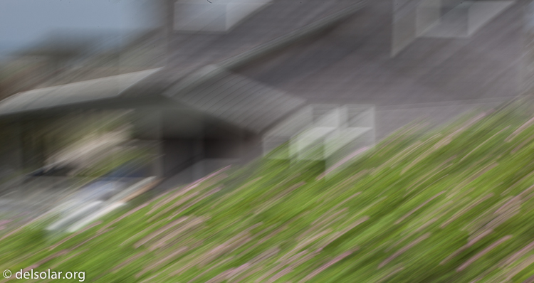 Canon EOS 5D Mark II  --  100 mm  --  EF70-200mm f/4L USM  