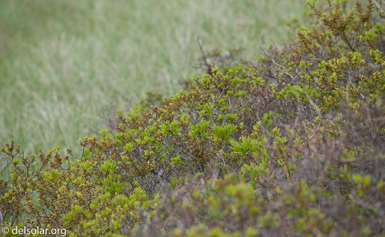 Canon EOS 5D Mark II  --  188 mm  --  EF70-200mm f/4L USM  