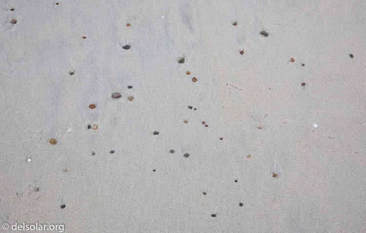 Canon EOS 5D Mark II  --  45 mm  --  EF24-105mm f/4L IS USM  