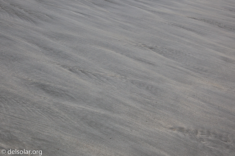 Canon EOS 5D Mark II  --  47 mm  --  EF24-105mm f/4L IS USM  