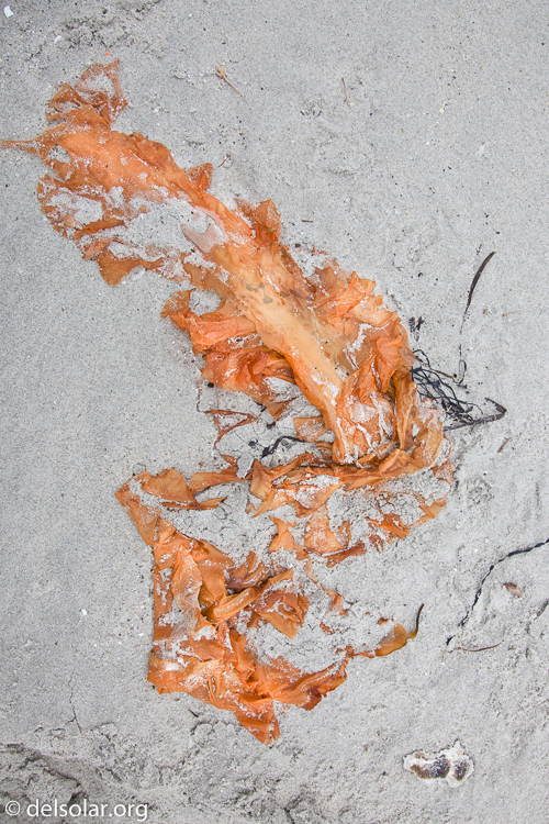 Canon EOS 5D Mark II  --  24 mm  --  EF24-105mm f/4L IS USM  