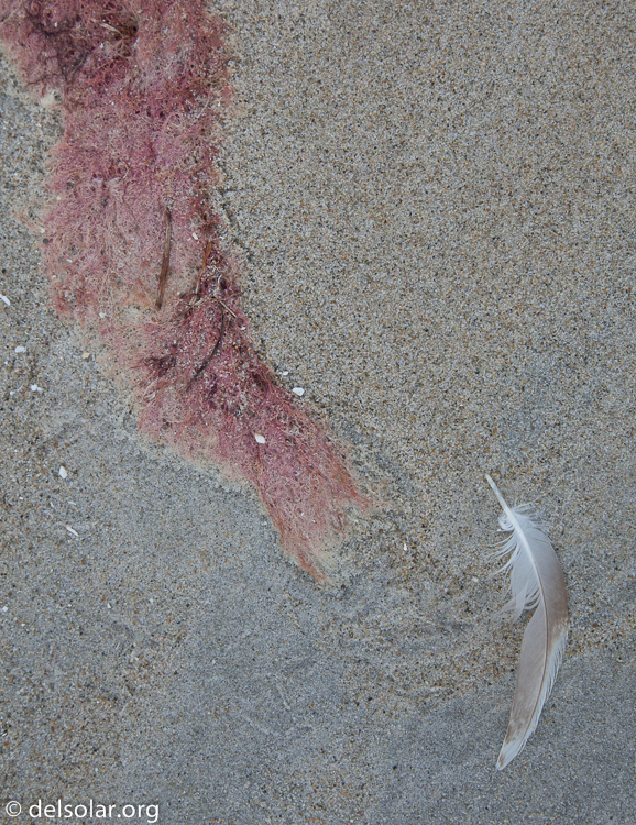 Canon EOS 5D Mark II  --  58 mm  --  EF24-105mm f/4L IS USM  