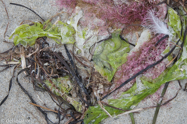 Canon EOS 5D Mark II  --  58 mm  --  EF24-105mm f/4L IS USM  