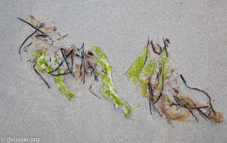 Canon EOS 5D Mark II  --  45 mm  --  EF24-105mm f/4L IS USM  