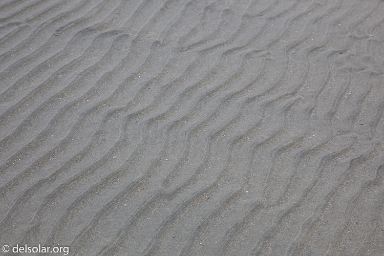 Canon EOS 5D Mark II  --  88 mm  --  EF24-105mm f/4L IS USM  