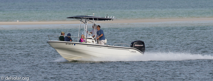 Canon EOS 7D  --  500 mm  --  EF500mm f/4L IS USM  