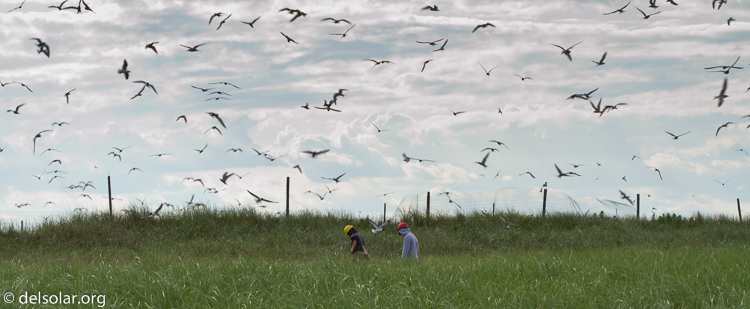 Canon EOS 7D  --  100 mm  --  EF100mm f/2.8 Macro USM  