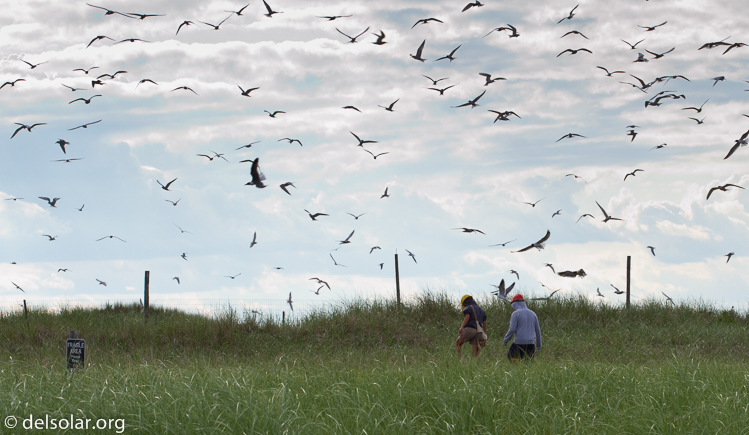 Canon EOS 7D  --  100 mm  --  EF100mm f/2.8 Macro USM  