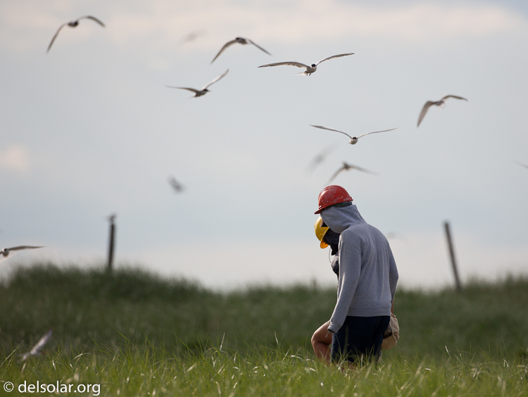 Canon EOS 5D Mark II  --  500 mm  --  EF500mm f/4L IS USM  