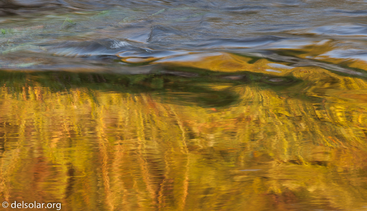 Canon EOS 5D Mark II  --  180 mm  --  EF70-200mm f/4L USM  