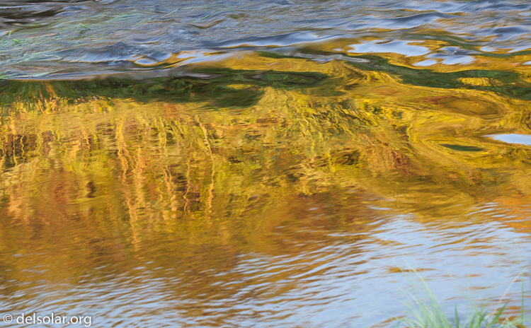 Canon EOS 5D Mark II  --  104 mm  --  EF70-200mm f/4L USM  