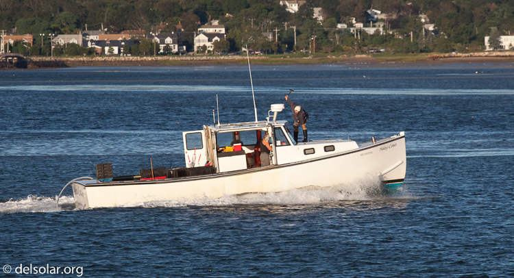 Canon EOS 5D Mark II  --  200 mm  --  EF70-200mm f/4L USM  