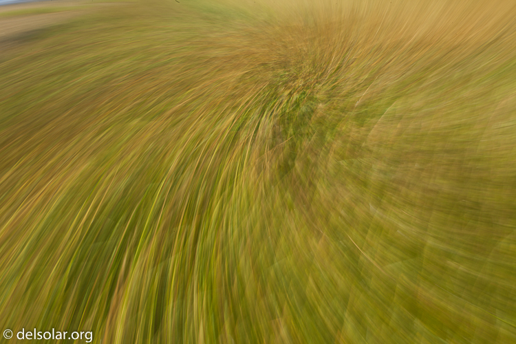 Canon EOS 5D Mark II  --  73 mm  --  EF70-200mm f/4L USM  