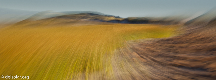 Canon EOS 5D Mark II  --  73 mm  --  EF70-200mm f/4L USM  