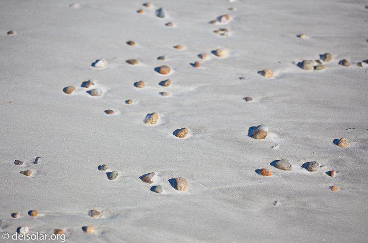 Canon EOS 5D Mark II  --  100 mm  --  EF100mm f/2.8 Macro USM  