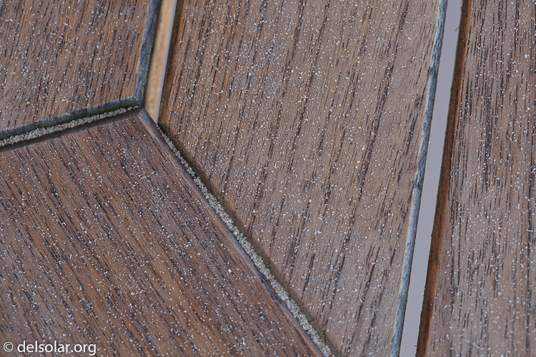 Canon EOS 5D Mark II  --  100 mm  --  EF100mm f/2.8 Macro USM  