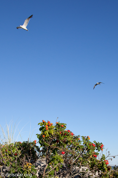 Canon EOS 5D Mark II  --  24 mm  --  EF24-105mm f/4L IS USM  