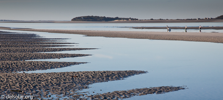 Canon EOS 5D Mark II  --  105 mm  --  EF24-105mm f/4L IS USM  