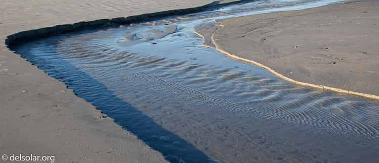 Canon EOS 5D Mark II  --  40 mm  --  EF24-105mm f/4L IS USM  