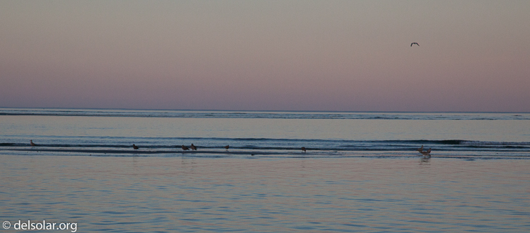 Canon EOS 5D Mark II  --  105 mm  --  EF24-105mm f/4L IS USM  