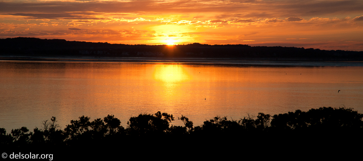 Canon EOS 5D Mark II  --  105 mm  --  EF24-105mm f/4L IS USM  