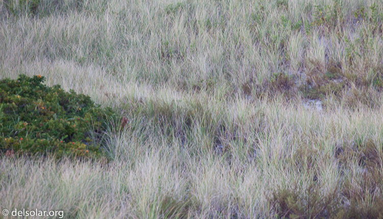 Canon EOS 5D Mark II  --  200 mm  --  EF70-200mm f/4L USM  