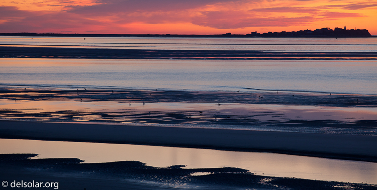 Canon EOS 5D Mark II  --  188 mm  --  EF70-200mm f/4L USM  