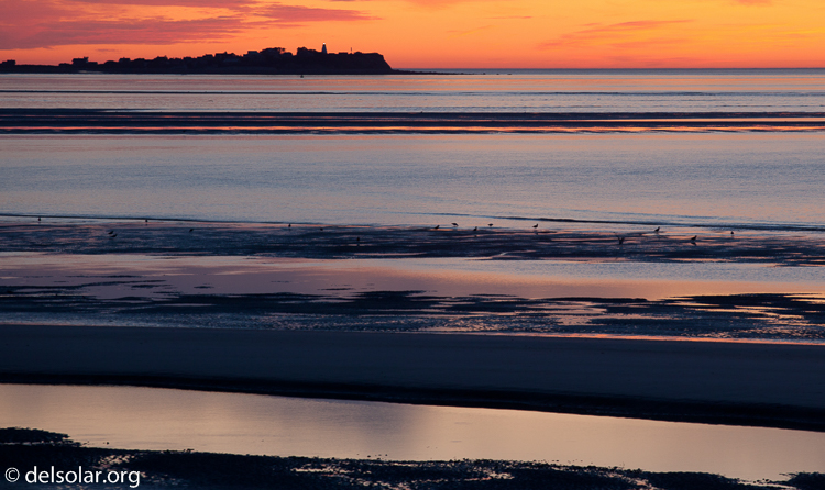 Canon EOS 5D Mark II  --  188 mm  --  EF70-200mm f/4L USM  