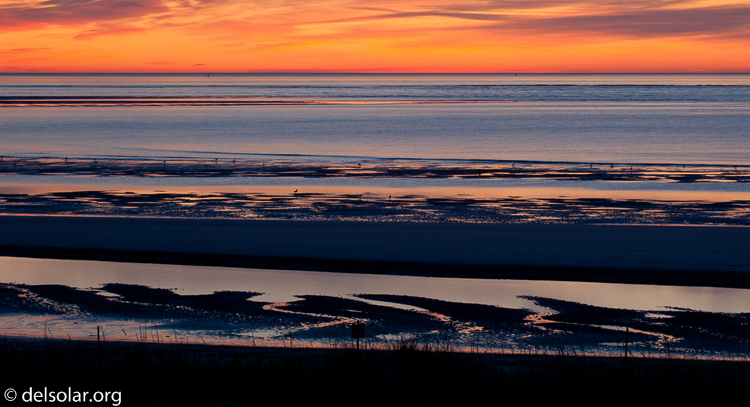 Canon EOS 5D Mark II  --  104 mm  --  EF70-200mm f/4L USM  