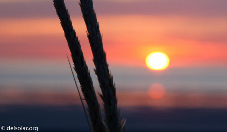 Canon EOS 5D Mark II  --  75 mm  --  EF24-105mm f/4L IS USM  