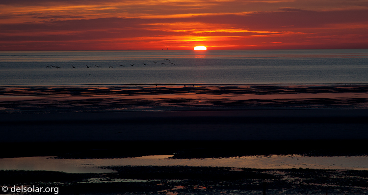 Canon EOS 5D Mark II  --  105 mm  --  EF24-105mm f/4L IS USM  