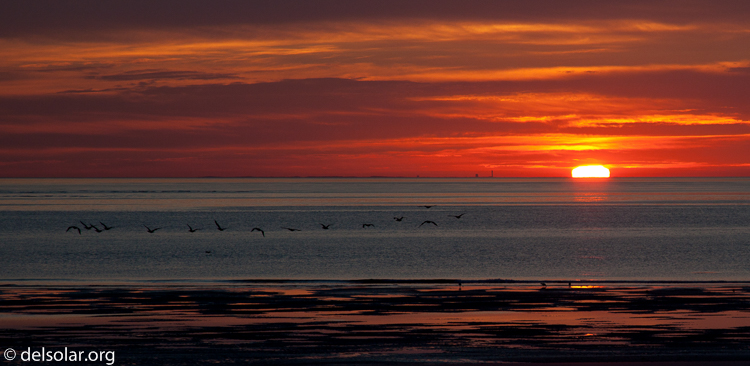 Canon EOS 5D Mark II  --  105 mm  --  EF24-105mm f/4L IS USM  