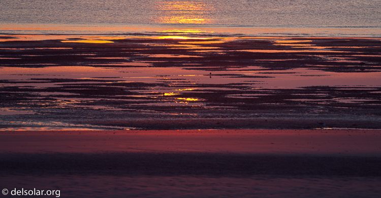 Canon EOS 5D Mark II  --  400 mm  --  EF400mm f/5.6L USM  