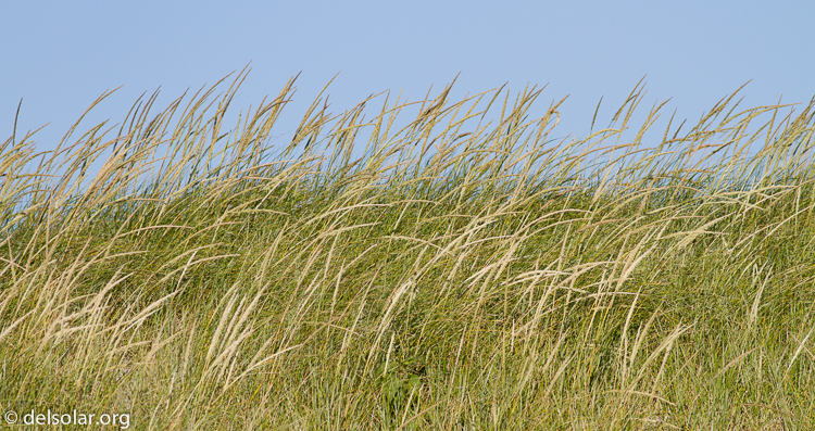 Canon EOS 7D  --  400 mm  --  EF400mm f/5.6L USM  