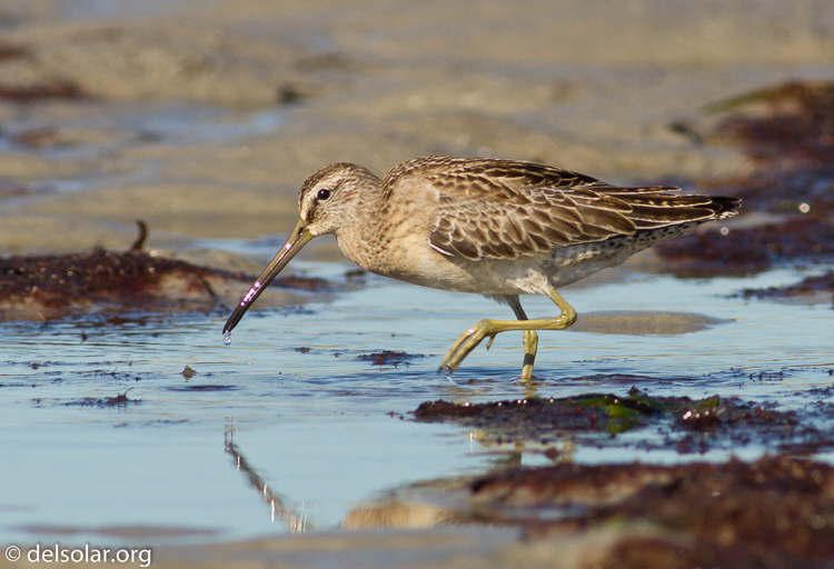 Canon EOS 7D  --  400 mm  --  EF400mm f/5.6L USM  