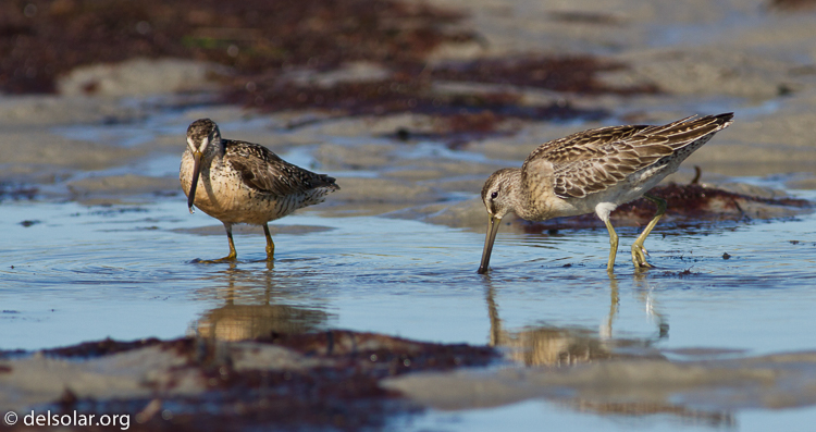 Canon EOS 7D  --  400 mm  --  EF400mm f/5.6L USM  