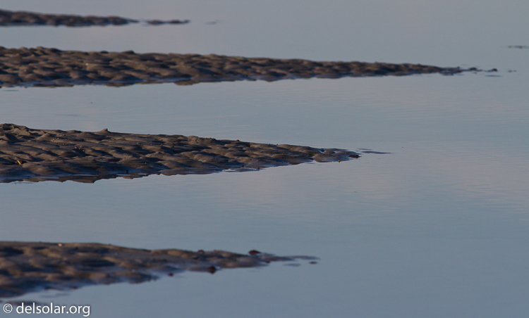 Canon EOS 7D  --  400 mm  --  EF400mm f/5.6L USM  