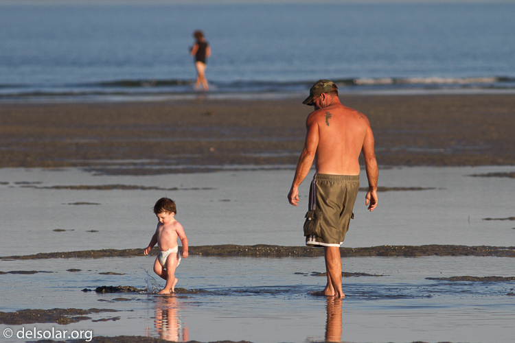 Canon EOS 7D  --  400 mm  --  EF400mm f/5.6L USM  