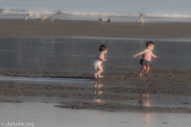 Canon EOS 7D  --  400 mm  --  EF400mm f/5.6L USM  